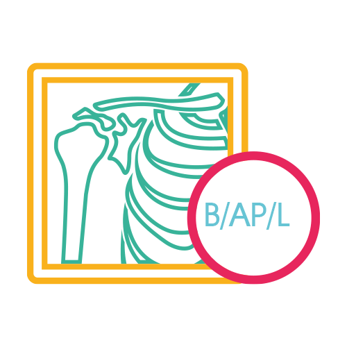 Humero Bilateral Ap y Lateral