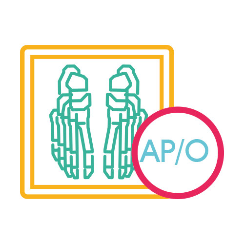 Pies Comp. Ap y Obl. 2 Proy.