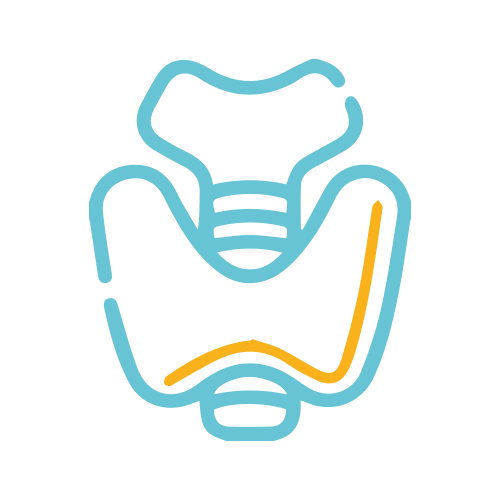 PERFIL PLUS + TSH Labbe