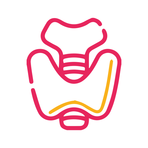 T4 Total ( Tiroxina )