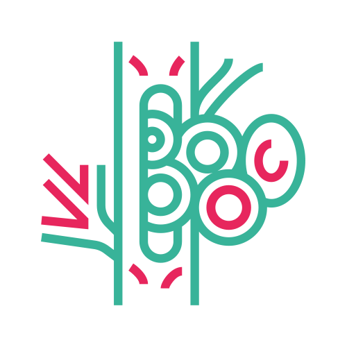 Hemoglobina Glucosilada (HB A1C)